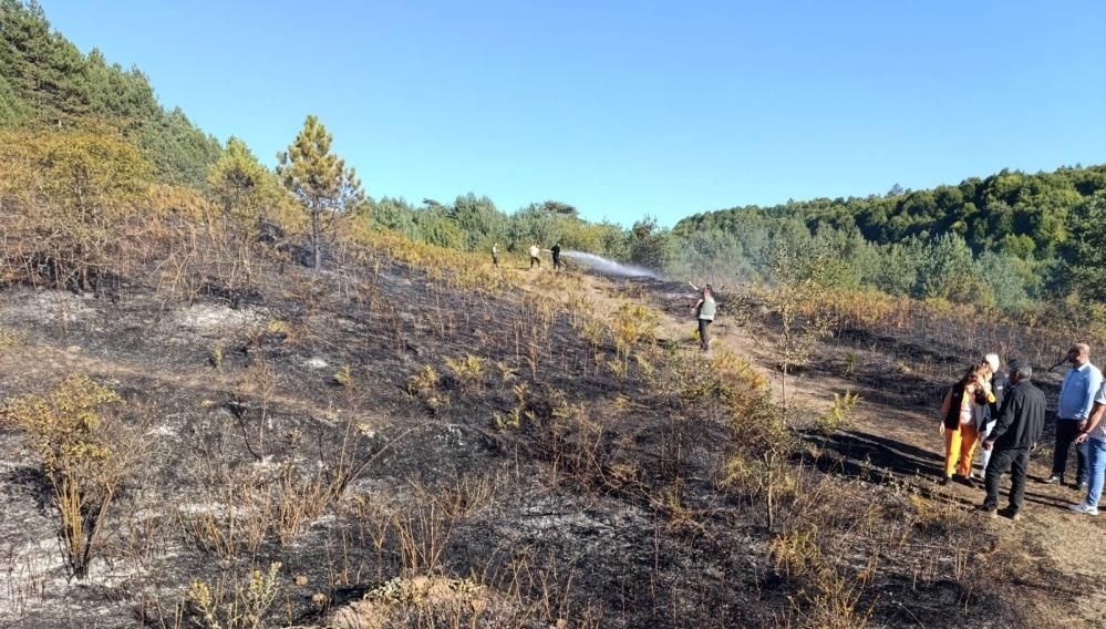 Bilecik’te orman yangını paniği bilecikte orman yangini panigi W7pAp8B6