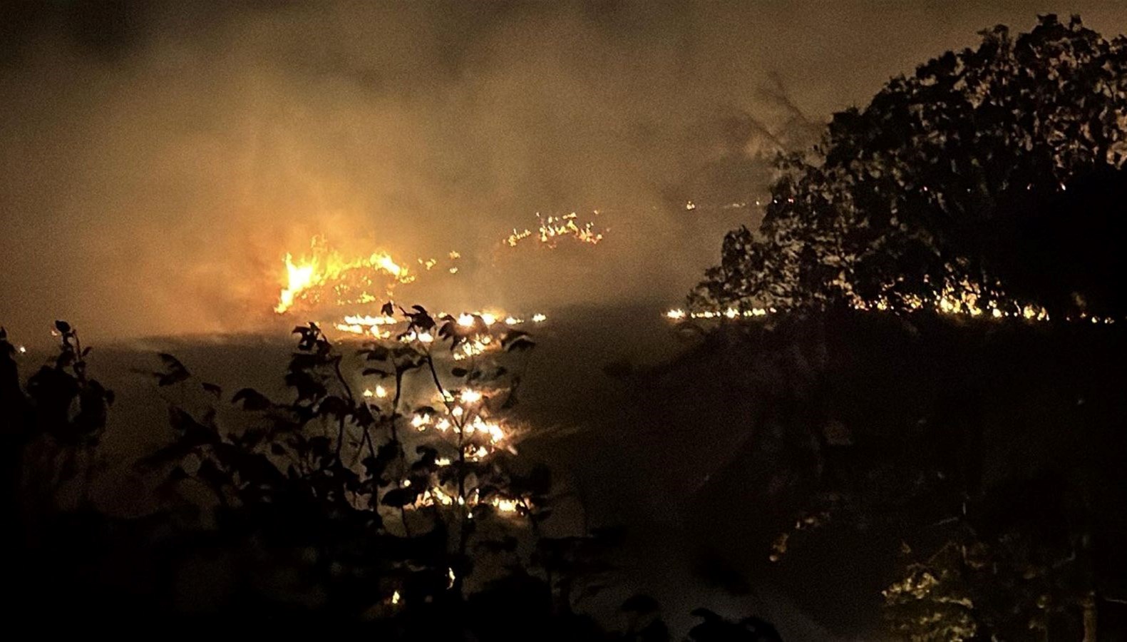 tekirdagda aniz yangini yerlesim yerine ulasmadansonduruldu RP2rVDB7