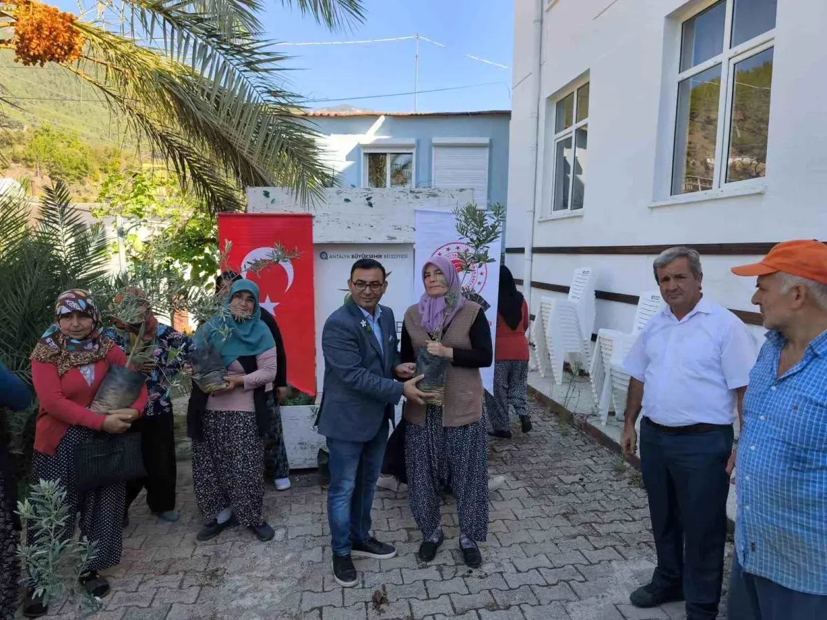 kadin ciftcilere zeytin fidani dagitildi axedKMh9.jpg