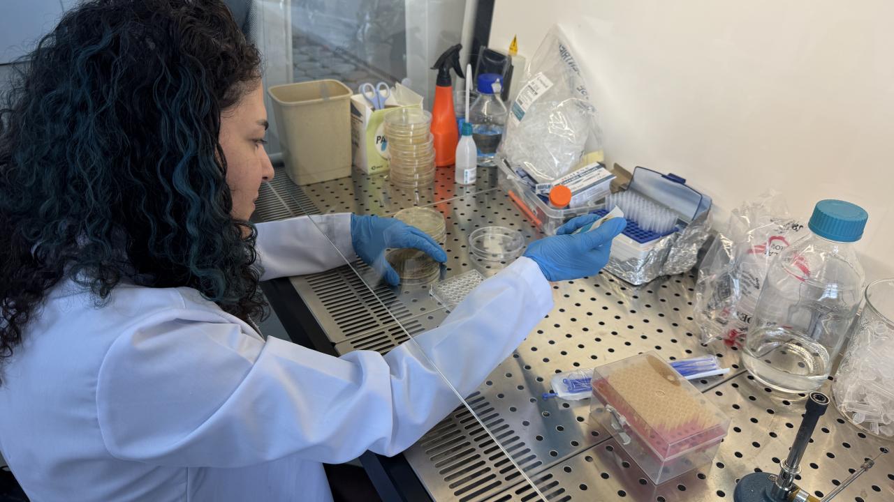 Türkiye bordan yara örtüsü üretti! Artık daha hızlı iyileşme sağlanacak