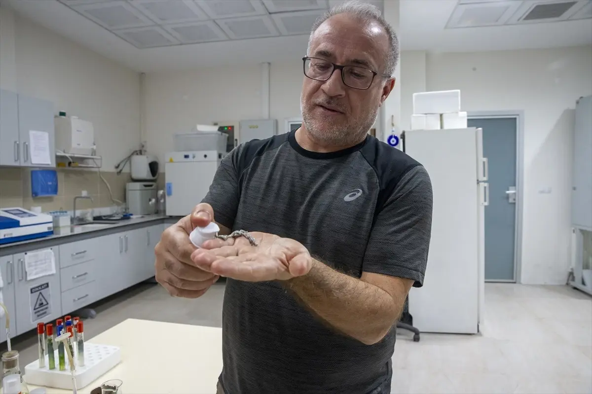 turk akademisyenler murekkep baligindan cilt onarici ve koruyucu gunes kremi uretti XfAQkDTv.jpg