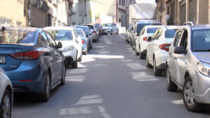 park-engeli-can-aldi-ambulans-sokaga-giremedi-yasli-kadin-hayatini-kaybetti-SMTsqQH5